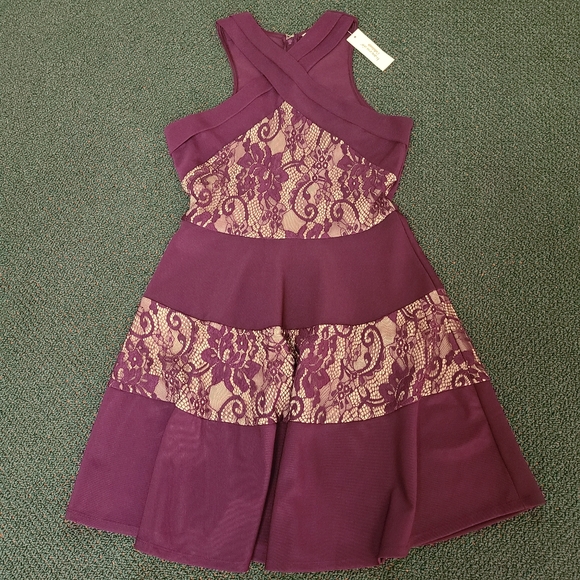 ๐๏ธFrancescas Plum Lace Dress - Picture 1 of 11